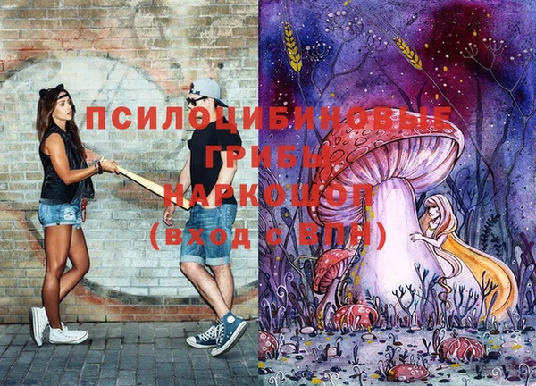 кокаин Новодвинск